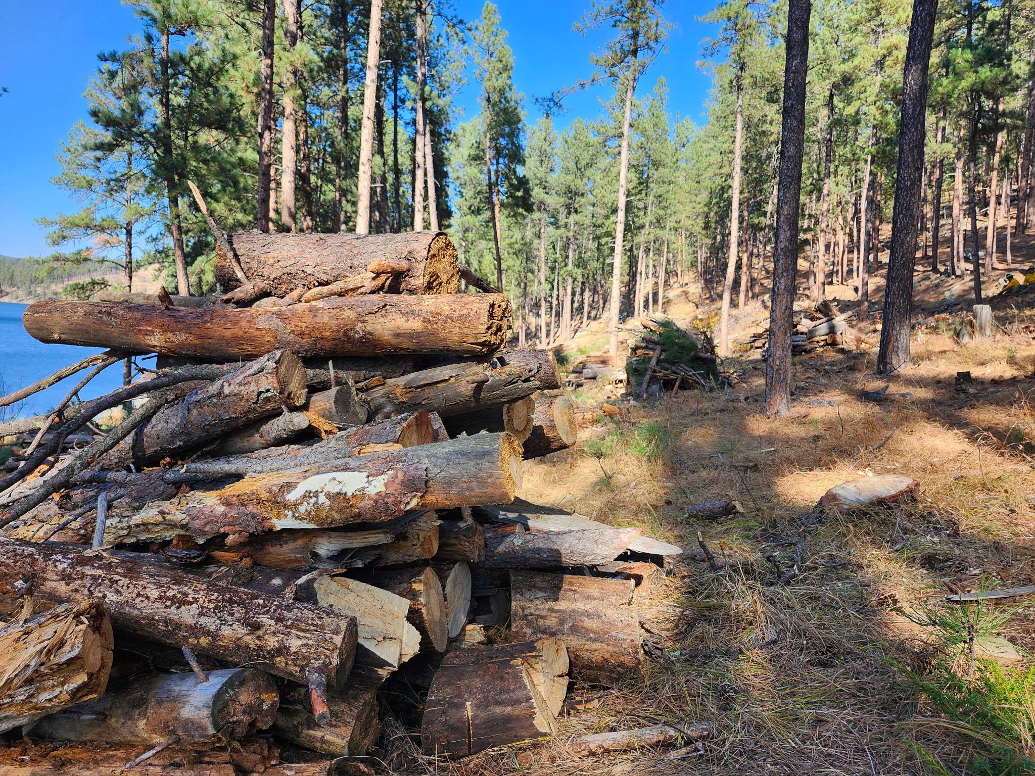 Vegetation Management