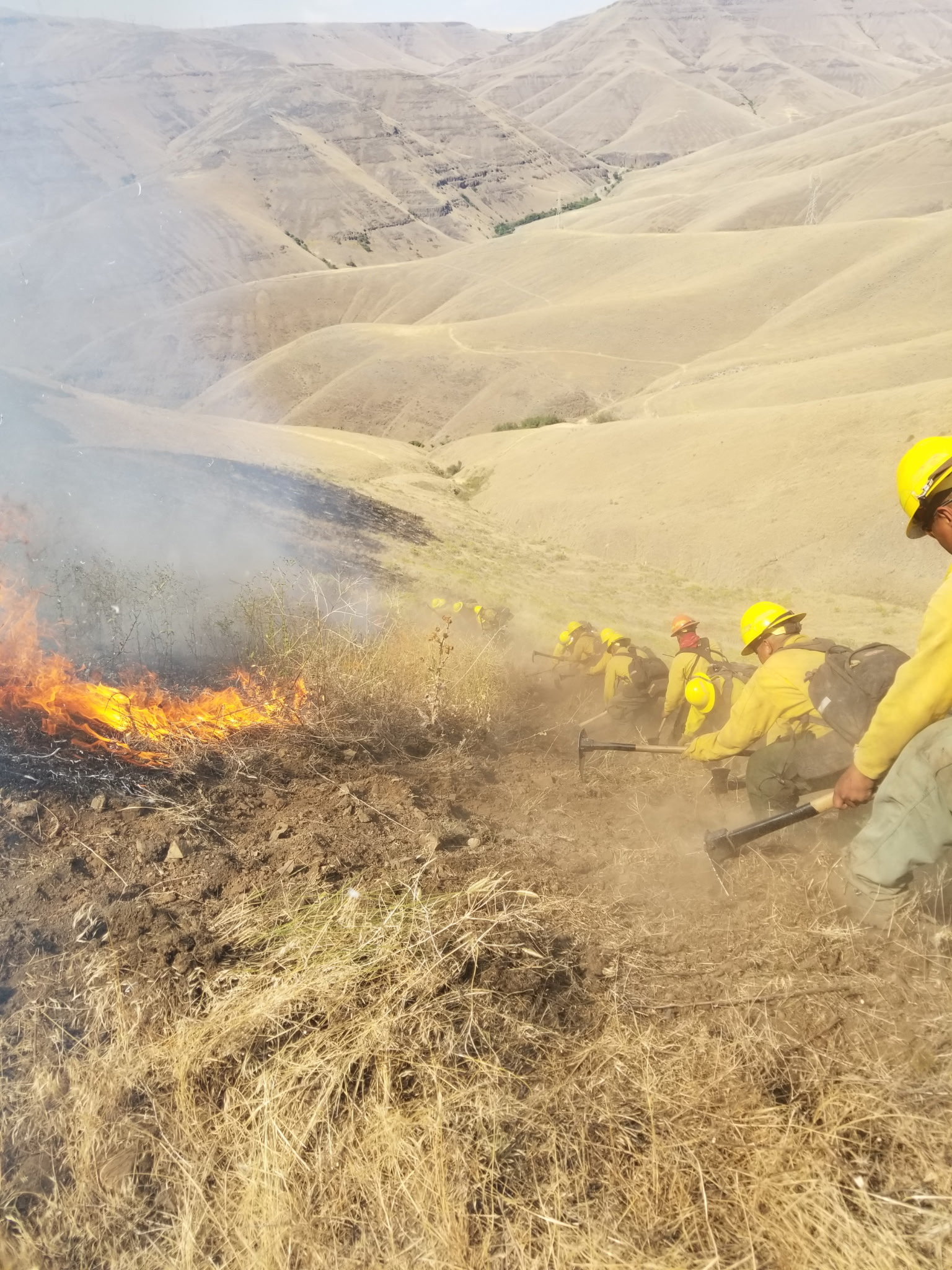 Wildland Fire Experience